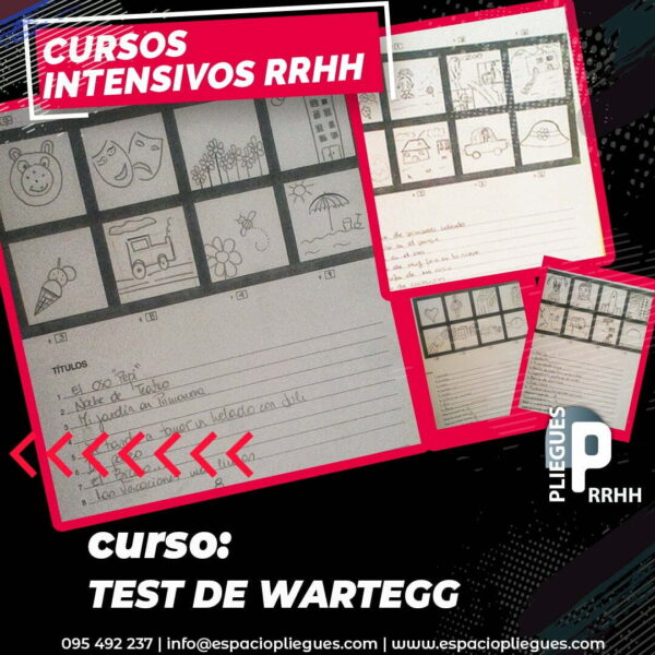 Test de Wartegg
