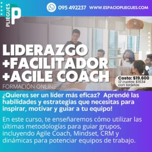 Conducción de Equipos de Trabajo